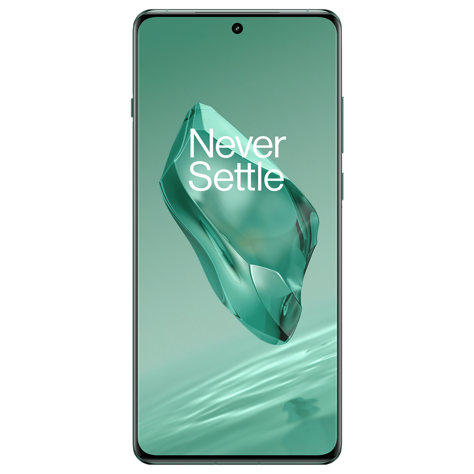 Buy OnePlus 12 5G (12GB RAM, 256GB, Flowy Emerald) online at best